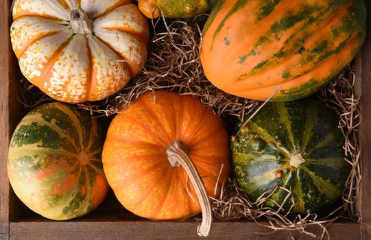 Overhaed closeup of a variety of decorative gourds and pumpkins in a wood crate with packing straw.