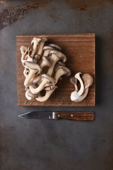 Oyster mushrooms on a wood cutting board on a metal surface with a paring knife. Top view in vertical format with copy space.