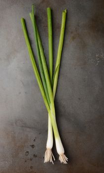 High angle shot of green onions lying on a metal cooking sheet.