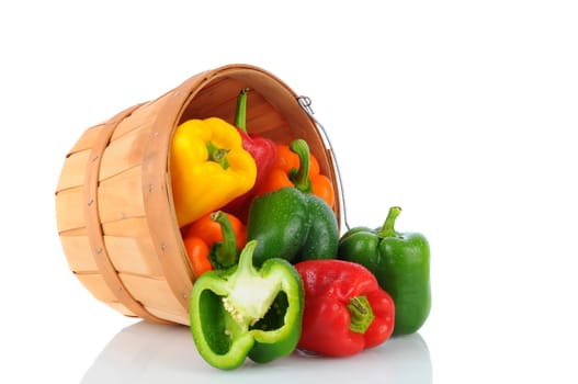 A basket full of fresh picked bell peppers on it s side spilling onto the surface. Horizontal format over a white background with reflection.