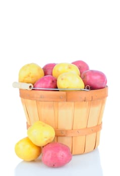 A basket of red and white potatoes on white with reflection. Vertical format.