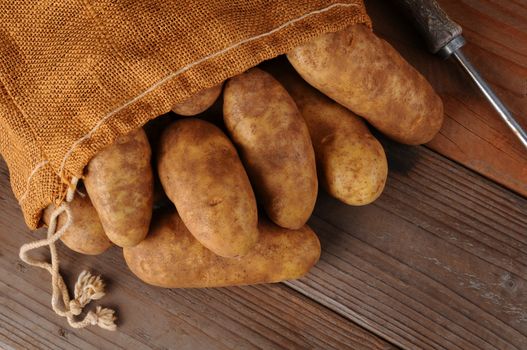 A overhead view of a burlap sack of potatoes on a rustic wooden background. Horizontal format with copy space.