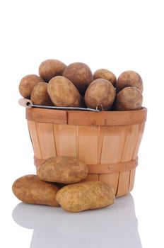 A basket full of russet potatoes with a small pile in front on a white surface with reflection. Vertical format.