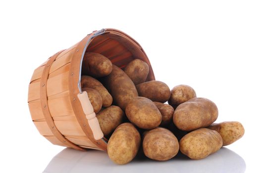 A basket full of russet potatoes on its side spilling onto a white surface with reflection. Horizontal format.