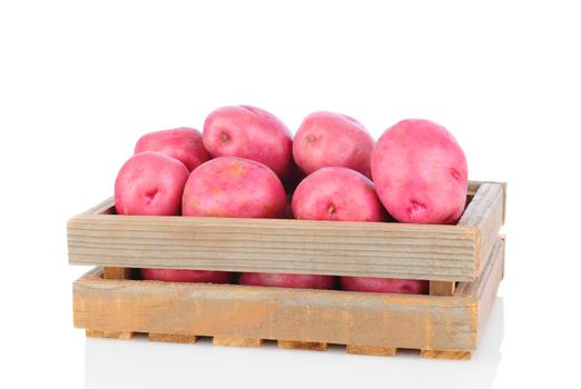 Red Potatoes in a wooden crate on white with reflection. Horizontal Format.