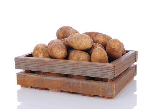 Closeup of a wood crate full of russet potatoes on a white background with reflection. Horizontal format.