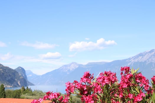 view of Garda lake in northern Italy