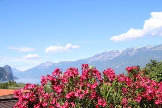 view of Garda lake in northern Italy