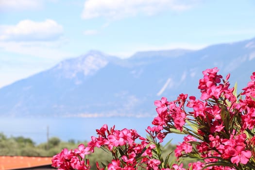 view of Garda lake in northern Italy