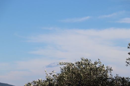 view of Garda lake in northern Italy