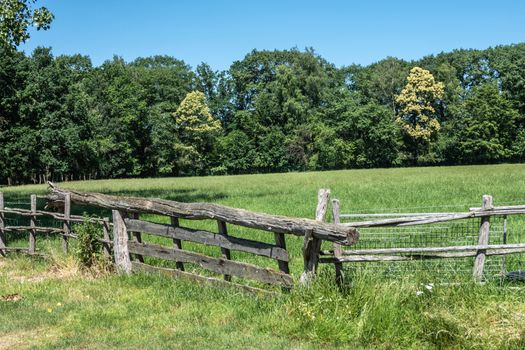 Bokrijk, Belgium - June 27, 2019: Closeup of old gray wooden gate closure with tree balance beam to facilitate opening. Green wall of trees under blue sky.