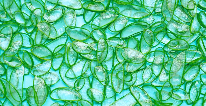 Aloe vera slices on blue background. Aloe vera is a popular medicinal plant for health and beauty.