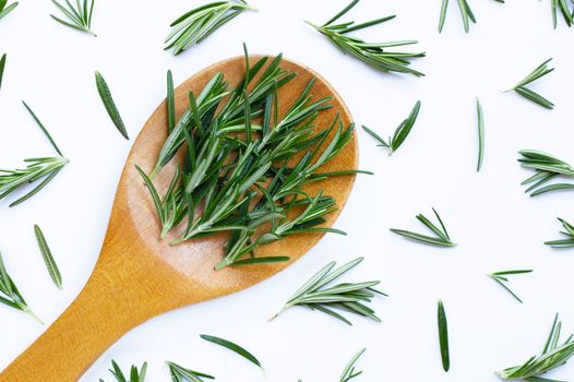 Fresh rosemary isolated on white background.