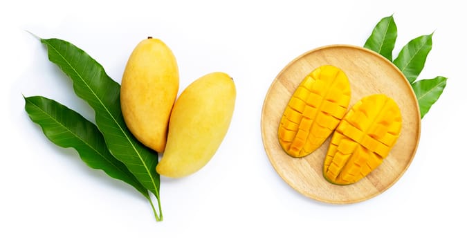 Mango with leaves on white background. Top view