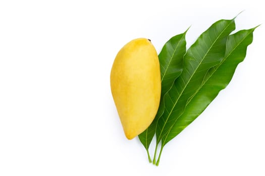 Mango with leaves on white background. Copy space
