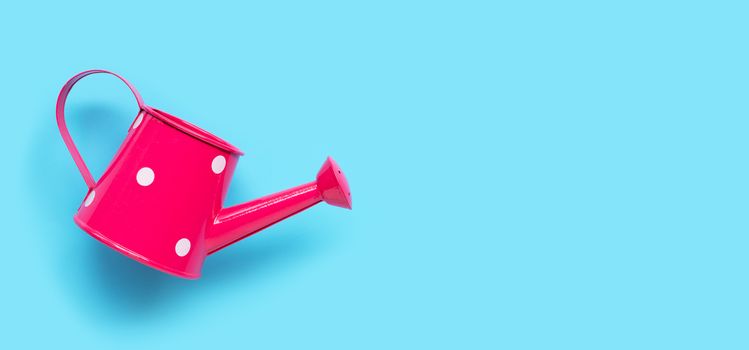 Pink watering can on blue background. Copy space
