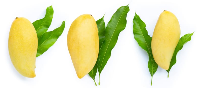 Mango with leaves on white background. Top view