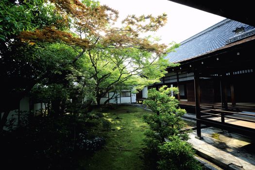 Japanese garden in Japan temple kyoto japan