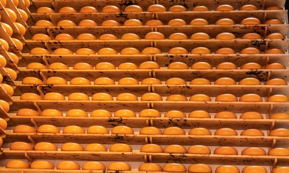 Amsterdam, the Netherlands - July 1, 2019: Deep golden, yellow wall of cheese wheels.