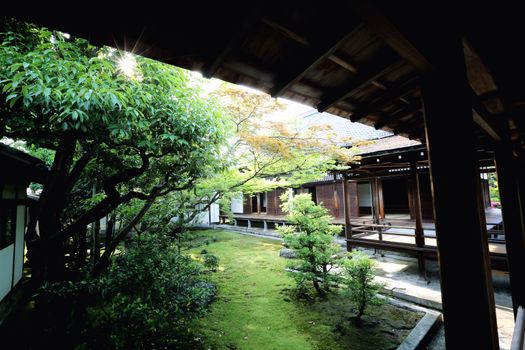 Japanese garden in Japan temple kyoto japan