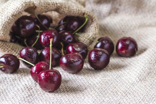 Red cherry with water drop on the sackcloth