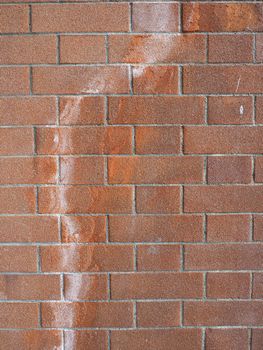 damage caused by efflorescence on a red brick wall