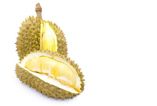 Durian fruit on a white background