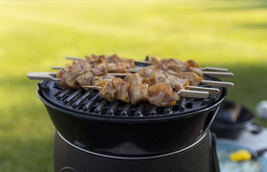 electrical bbq with grill plate for a nice chicken sate