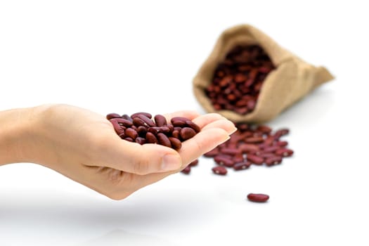 Grains Red beans in hand a sack on a white background
