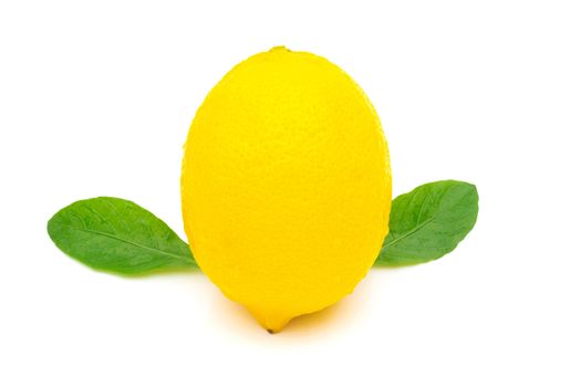 Lemon refreshing on a white background