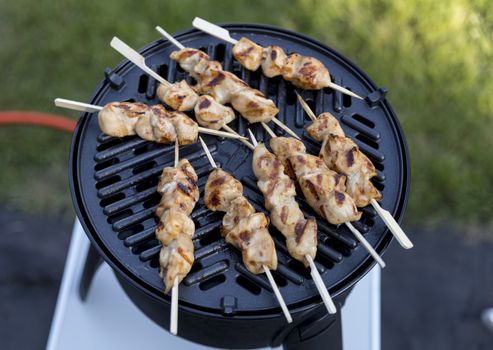electrical bbq with grill plate for a nice chicken sate