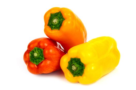 Colorful bell pepper on a white background