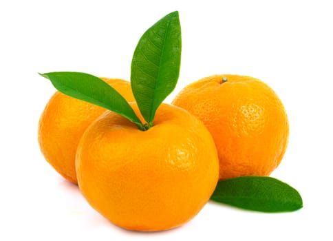 Fresh fruit orange with leaves on a white background