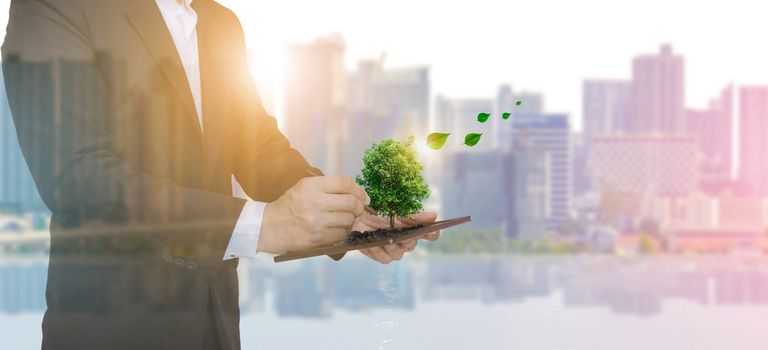 Ecology and businessmen hold tablet planting trees Urban environment