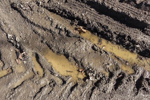 Tire tracks into the mud. Texture of wet brown mud with car tyre tracks.