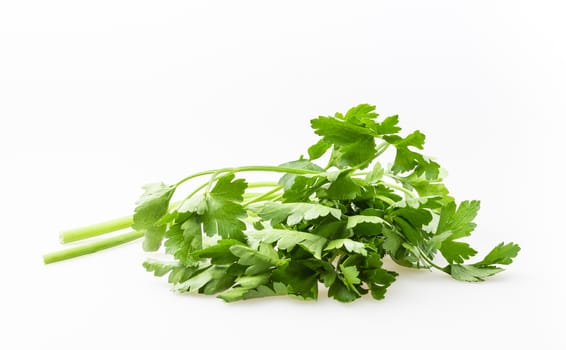 Fresh green basil isolated on white background