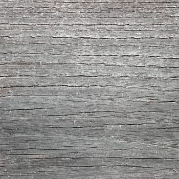 Grey wooden background. Vintage texture for many uses.