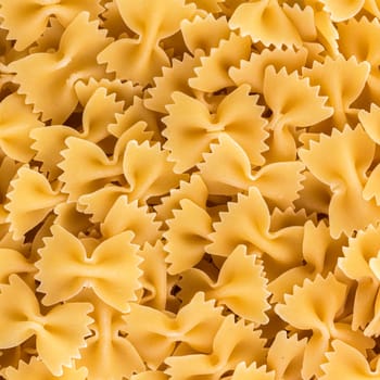 Close-up of pasta. Top view.