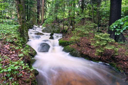 Rocks and boulders in the mountain stream in the forest in the Giant Mountains in Poland