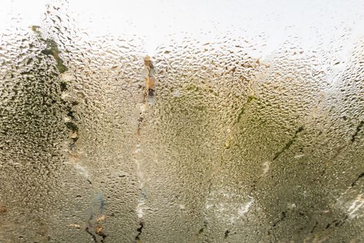 rain drops on a window