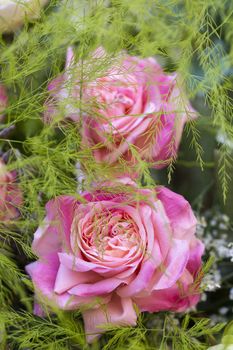 Pink artificial rose flower bloom in a beautiful bouquet