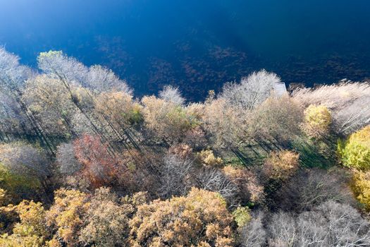 Abstract aerial photograph of an autumnal colored forest at the edge of a blue water surface of a small pond, made with drone