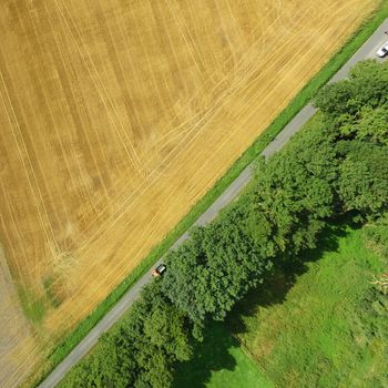 Aerial photo of a green meadow and a harvested wheat field with a path and a row of trees, abstract aerial photo, made with drone