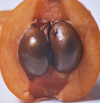 Medlar, split in half, bones, orange, white, natural, ecological, Macro photography