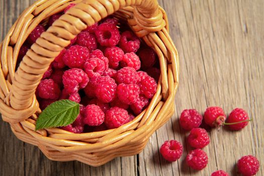 Ripe forest raspberries in a small basket on a wooden table, top view.