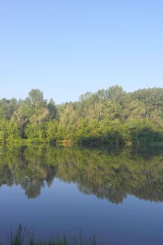 Beautiful summer landscape with river and forest