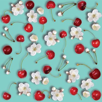 Fresh cherries with stems and blossom background. Creative beautiful red ripe cherries and cherry blossom summer berries pattern. Top view