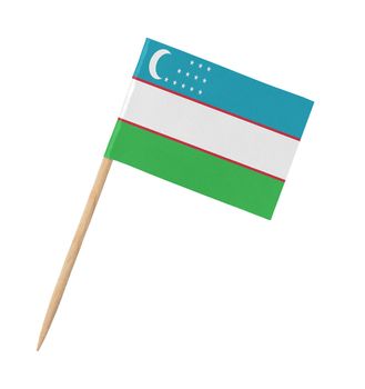 Small paper Uzbekistan flag on wooden stick, isolated on white