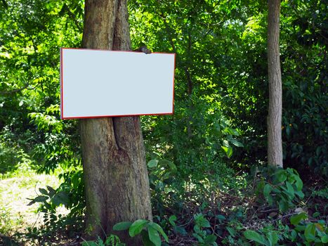 Billboard blank on trees in the forest.
Billboard blank on trees in the forest For advertising, magazines, natural media concepts.