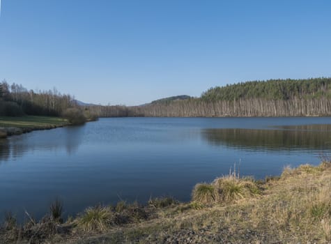Blue calm water of forest lake, fish pond Kunraticky rybnik with birch and spruce trees growing along the shore and clear blue sky. Nature background. Early spring landscape